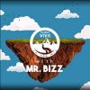 Download track Natura Viva In The Mix With Mr. Bizz (Continuous DJ Mix)