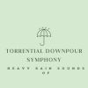 Download track Cascading Rainfall Symphony