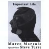 Download track Important Life