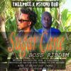 Download track Sugar Cane (Remix)