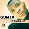 Download track Umuntu Wam