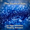 Download track Rain Sounds For Children