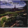 Download track 07 Trio In G Minor, Op. 3： 1. Pas Trop Lent. - Animé