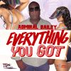 Download track Everything You Got