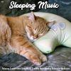 Download track Powerful Relaxing Sounds