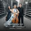 Download track Piano Trio No. 2 In E-Flat Major, Op. 100, D. 929: III. Scherzando. Allegro Moderato