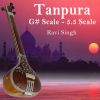 Download track Tanpura - G # Scale - 5.5 Scale