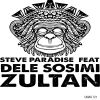 Download track Zultan (Crazy Hammond Mix)