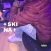 Download track Skina