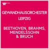 Download track Mendelssohn: Violin Concerto In E Minor, Op. 64, MWV O14: II. Andante