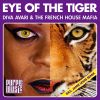 Download track Eye Of The Tiger (Disco Radio Mix)