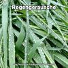 Download track Regengeräusche, Pt. 12