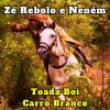 Download track Toada Boi Velho De Cartaz