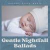 Download track Gentle Nightfall