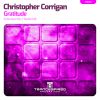 Download track Gratitude (Radio Edit)