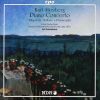 Download track Piano Concerto In B-Flat Minor, Op. 37 I. Pesante Allegro