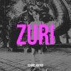 Download track Hey Zuri, Are You Over There?