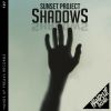 Download track Shadows 2021 (Extended Mix)