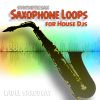 Download track House Saxophone Am (128bpm) 2