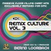 Download track The Rhythm Of The Night (Bernd Loorbach Extended Remix)