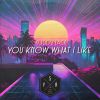 Download track You Know What I Like (Save The Robots Ob1 Remix)