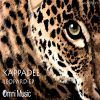 Download track Leopard (Original Mix)