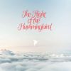 Download track The Flight