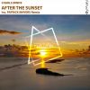 Download track After The Sunset (Patrick Mayers Remix)