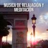 Download track Musica De Relajación Y Meditación