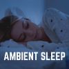 Download track Ambient Music For A Good Nights Sleep, Pt. 16