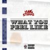 Download track What You Feel Like