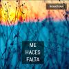 Download track Me Haces Falta