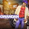 Download track Gwandan