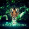 Download track In The Heart Of The Jungle