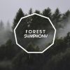 Download track Forest Symphony