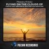 Download track Flying On The Clouds (Video Edit)