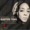 Download track Beautiful Tears (Solphelt Session Mix)