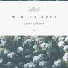 Download track Bullfinch Winter Compilation 2017 (Continuous Mix)