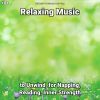 Download track Relaxing Music, Pt. 2