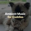 Download track Present Ambient