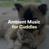 Download track Twinkling Ambient