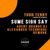 Download track Sume Sigh Say (Agent Orange DJ & Alexander Technique Remix)