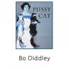 Download track Hey, Bo Diddley