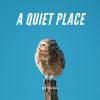 Download track Quiet Spaces