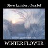 Download track Winter Flower