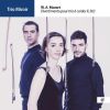 Download track Divertimento Pour Trio À Cordes En Mi-Bémol Majeur, K. 563 II. Adagio