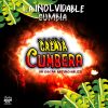 Download track Cumbia De Los Novios