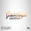 Download track Goodbye Summer (Jemis Remix)