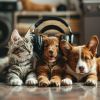 Download track Soothing Harmonies For Animals