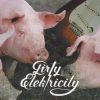 Download track Dirty Elektricity